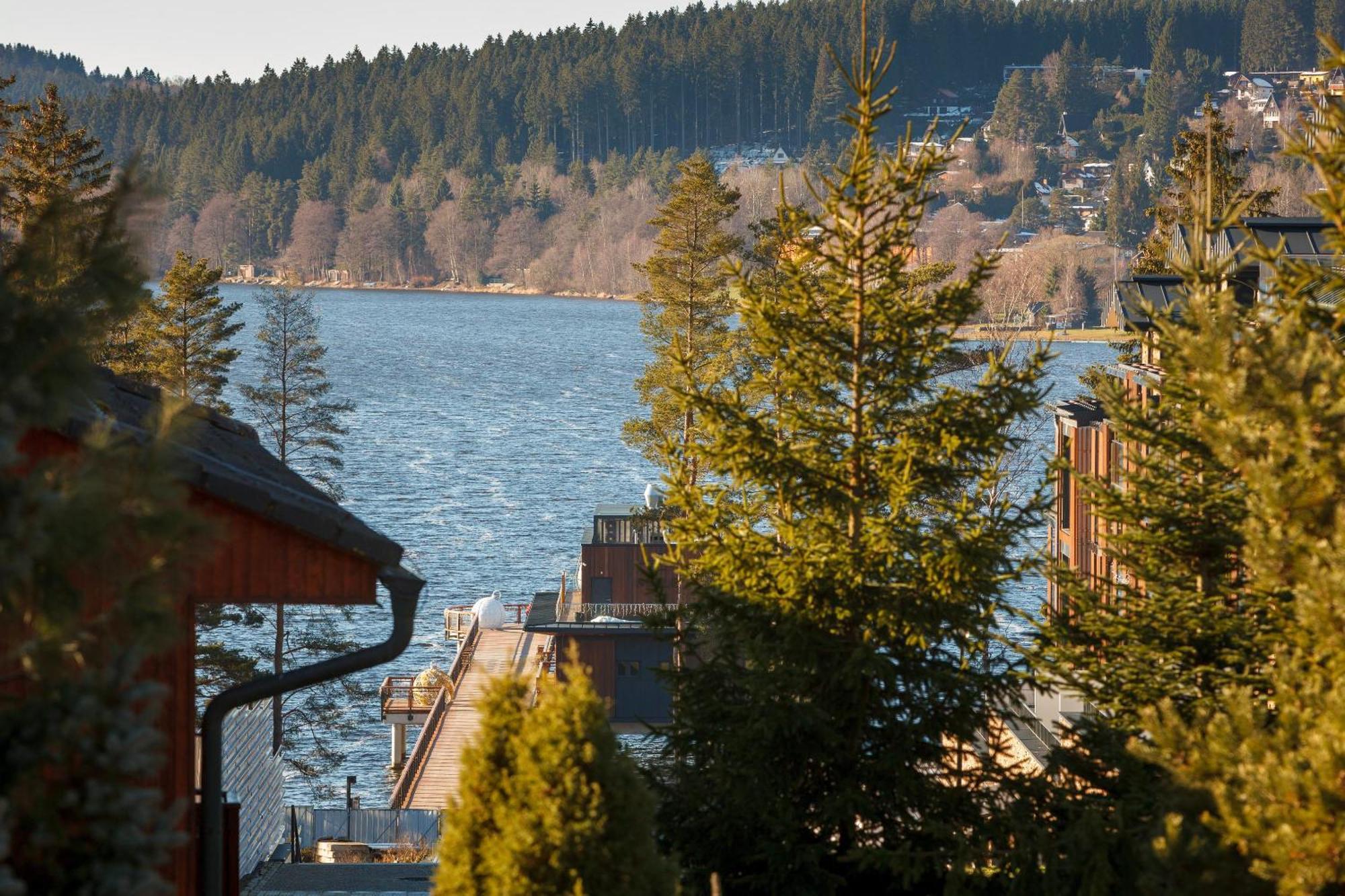 Vila Rozinka Lipno Липно-над-Влтавой Экстерьер фото